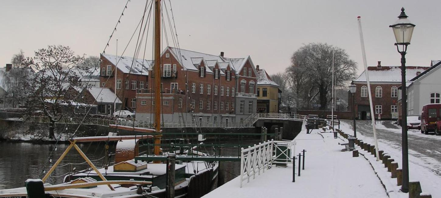 Ribe vinter